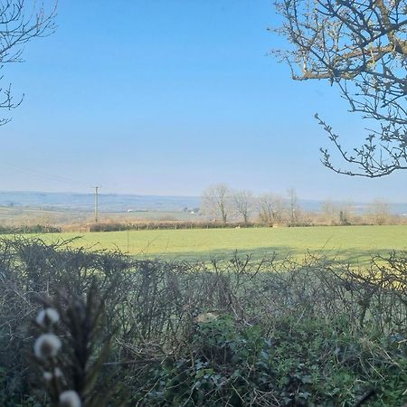 Thornmoor Barn Daire Lifton Dış mekan fotoğraf